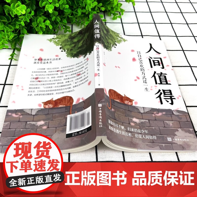 全5册把生活过成你想要的样子人性的弱点人间值得以自己喜欢的方式过一生不抱怨的世界断舍离践行法正能量成长励志青春文学自律正高清大图