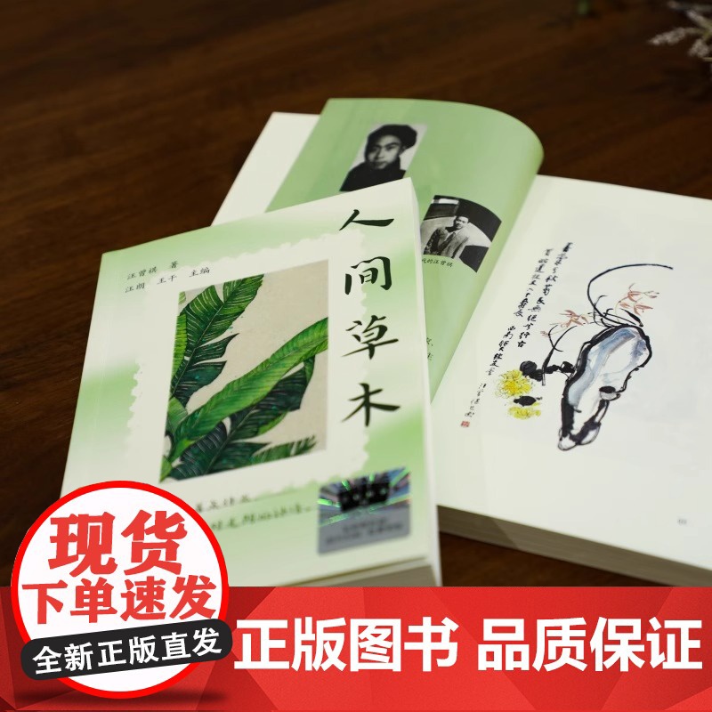 2025百班千人阅读 6六年级小学生课外书 人间草木 9-12岁青少年儿童文学成长图书课外阅读书籍课外阅读必读正版书籍高清大图
