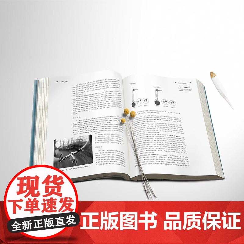 心理学与生活:第20版 中文单色版 (美)理查德·格里格 著 王垒 等 译 心理学社科 心理学入门书籍津巴多普通心理学高清大图