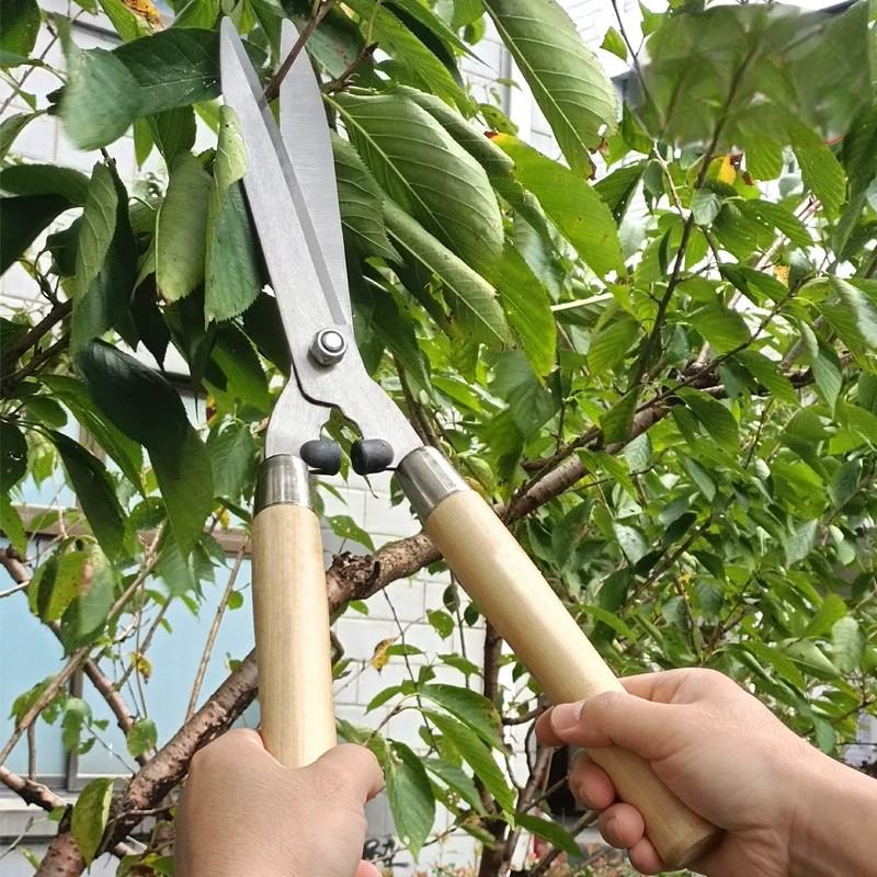 园艺修枝剪刀 20英寸(约510mm)高清大图