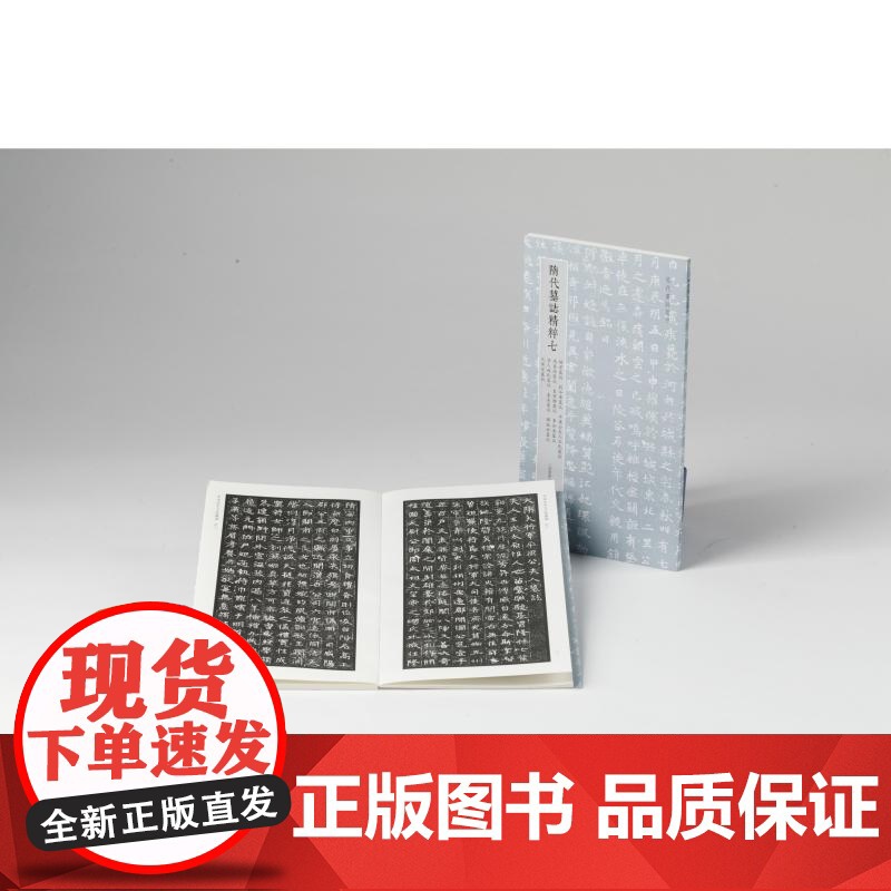 隋代墓志精粹七杨景刘令华平梁公夫人王氏高善德皇甫颢李世洛宫人赵氏袁亮独孤俭元保宜 本社编上海书画出版社精选书法资料鉴赏高清大图