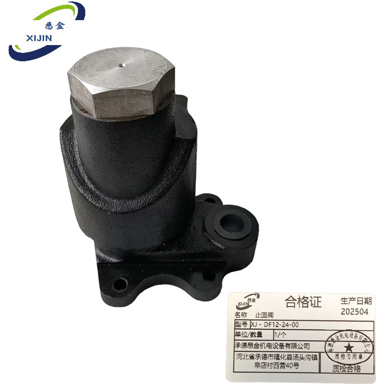 悉金 止回阀 XJ - DF12-24-00 个高清大图