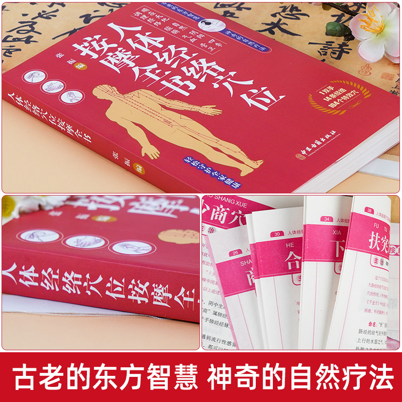 [正版]人体经络穴位按摩全书 日常养生按摩保健原理基本手法工具书 多种常见病对症穴位中医按摩疗法高清大图