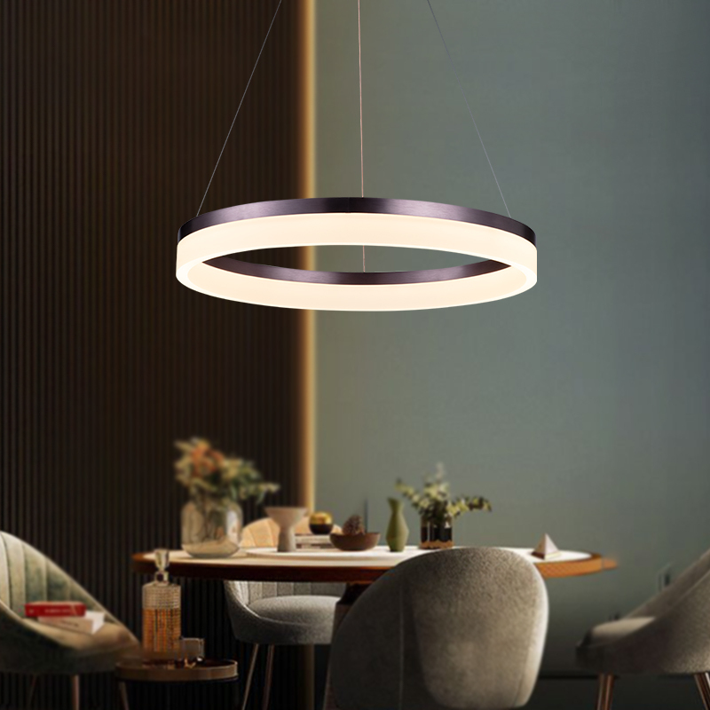 新特丽客厅吊灯现代简约大气餐厅灯圆形吊线书房卧室灯具套餐指环