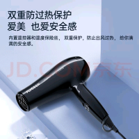 飞科 FLYCO 电吹风 FH6231 2000W大功率 恒温护发技术