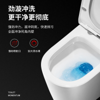 正山 马桶连体式静音节水坐便器虹吸式排污舒洁釉面上按两段式陶瓷坐便器地排