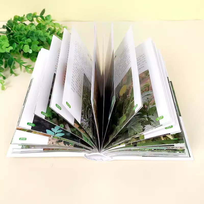 700种中草药 [正版]700种中草药野外识别速查图鉴 岳桂华 化学工业出版社 中草药大全药剂学中医草药书籍识别图全集高清大图