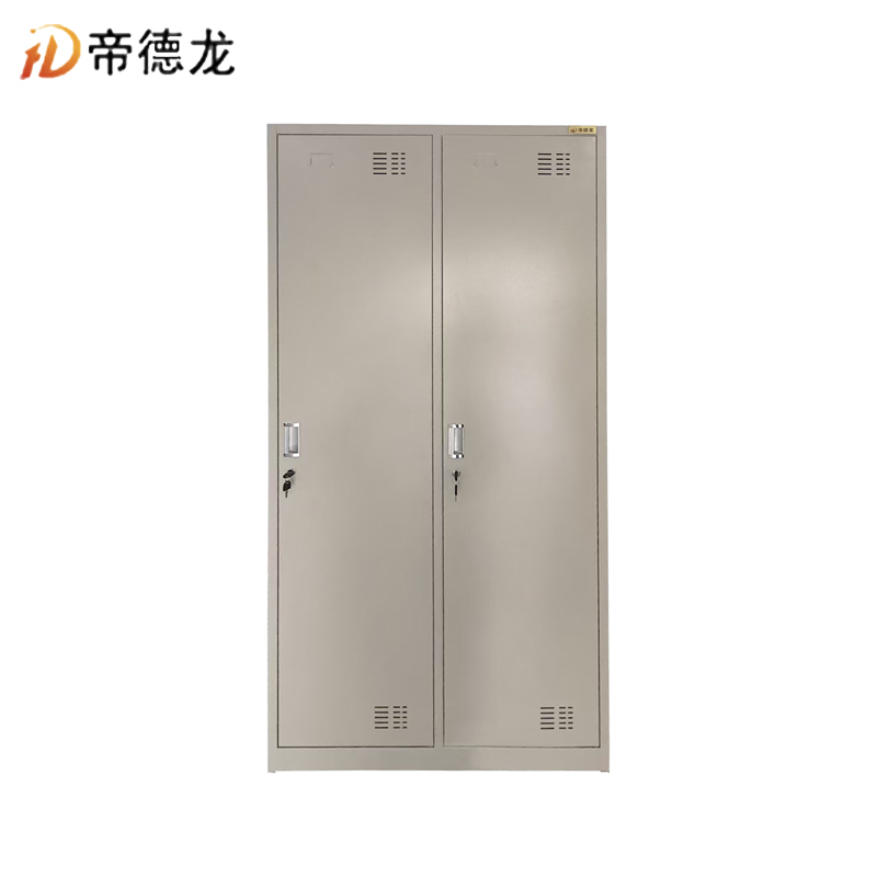 帝德龙 储物柜更衣柜2门 900*500*2000mm/个