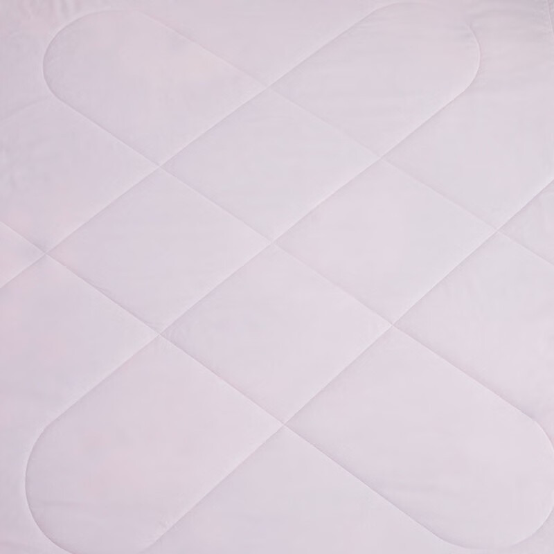 罗莱家纺(LUOLAI) 花语微澜夏被200*230cm