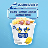 大嚼绊酸奶180g*2杯大嚼绊菠萝蜜谷物味 组合搅拌酸奶杯网红早餐