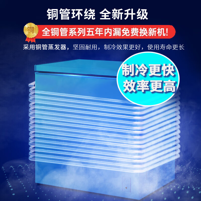 白雪一级能耗家用小冷柜145立升节能顶开式冰柜 冷冻冷藏卧式 茶叶、海鲜、母婴年货 BD/C145MAU