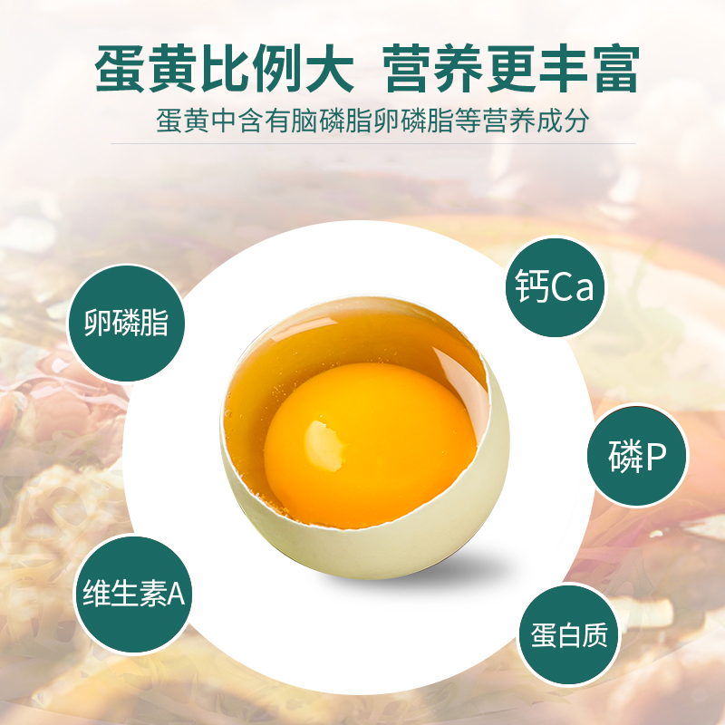 [神丹]绿壳鸡蛋可生食保洁蛋 20枚 黑鸡绿蛋新鲜散养鲜鸡蛋保洁蛋高清大图