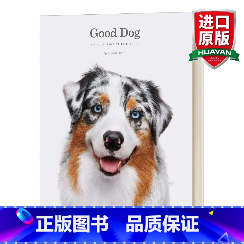 好狗狗摄影 精装 【正版】英文原版 Silent Kingdom 沉默的王国 海底世界 黑白水下摄影作品集 海洋生物之美