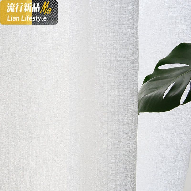 透光不透人窗纱简约现代加厚白色沙客厅隔断阳台遮光窗帘纱白纱帘 三维工匠图片