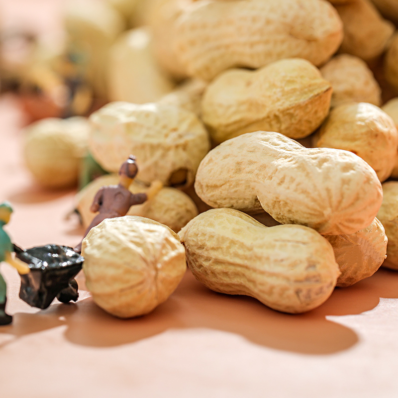 [领卷99-60]刻凡山核桃味带壳花生米60g*1袋手剥花生休闲打发时间的解馋零食高清大图