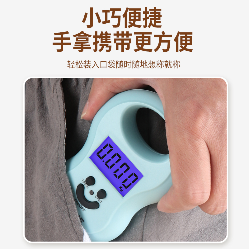 拜杰(Baijie)手提电子秤 便携式厨房秤 家用高精度弹簧秤 HL-168 蓝色