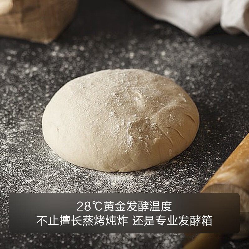 方太 嵌入式蒸烤箱蒸烤炖炸四合一家用大容量精准控温大蒸汽加湿烤多功能蒸烤一体机蒸烤箱ZK48-02-E3