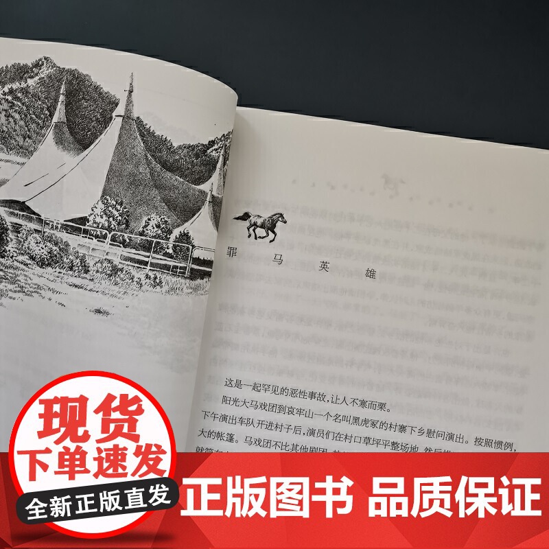 沈石溪臻奇动物小说文集豪情卷《罪马英雄》《象王泪》高清大图
