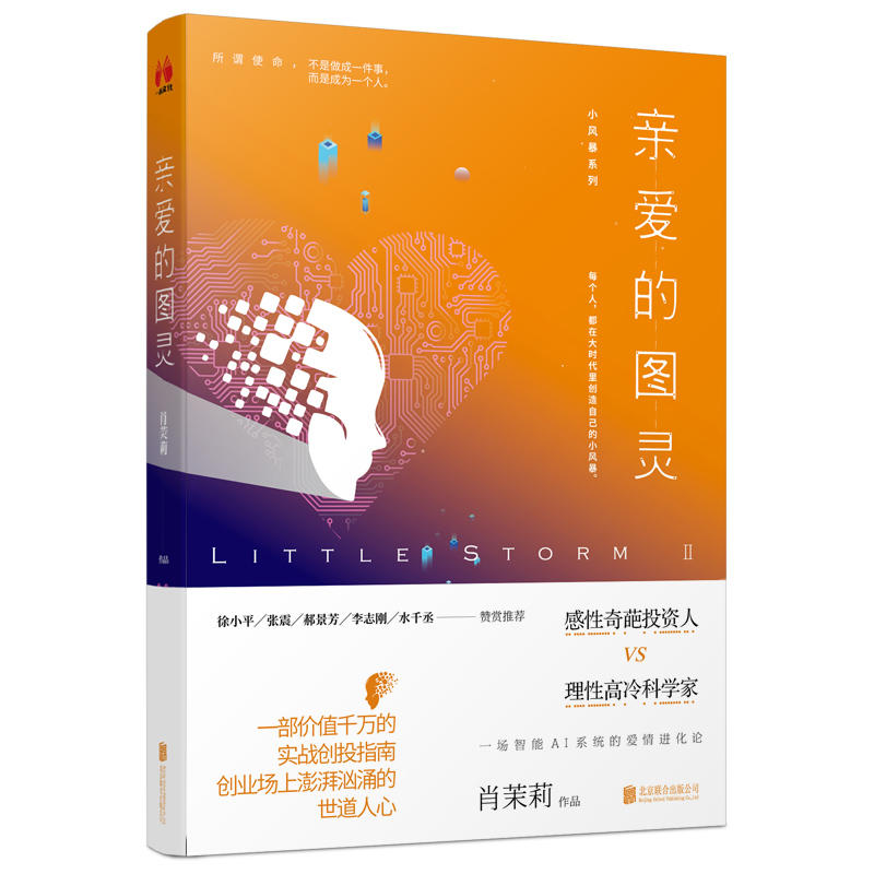 [正版]亲爱的图灵肖茉莉小风暴系列职场小说实战创投指南人工智能领域 围绕创业与投资北京联合出版高清大图