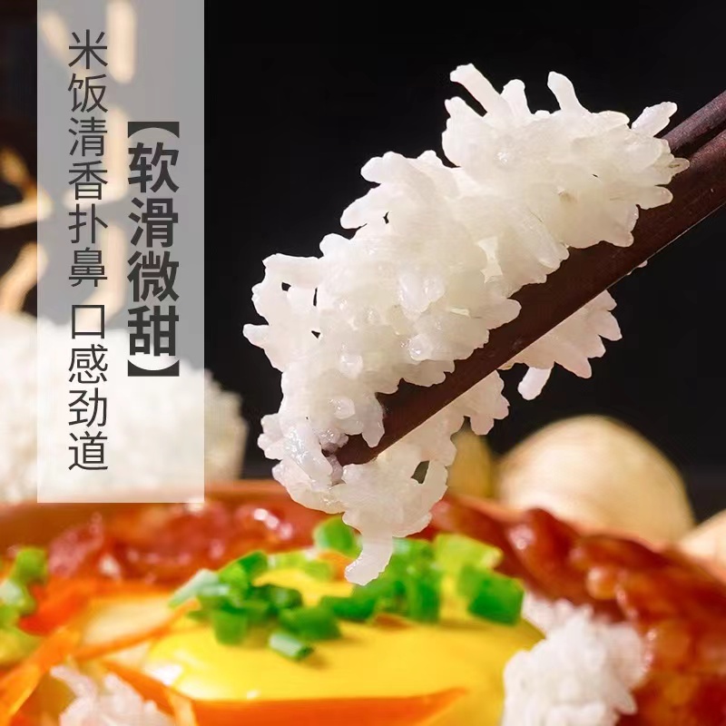 探禾广府丝苗米5KG-高清大图