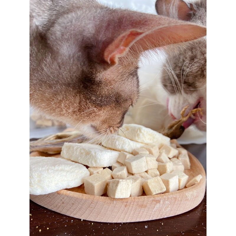 静一猫博士宠物冻干猫零食脱水生肉鱼肉鸡肉酸奶干