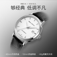 海鸥表(SEAGULL) 机械表 男 时尚男士皮带商务国民自动机械表黑白盘罗马字 819.613