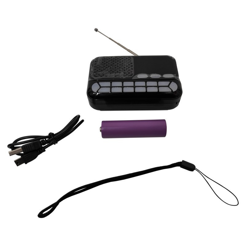 福祉康 听书机 FZK-L839(绵阳涪城区)高清大图