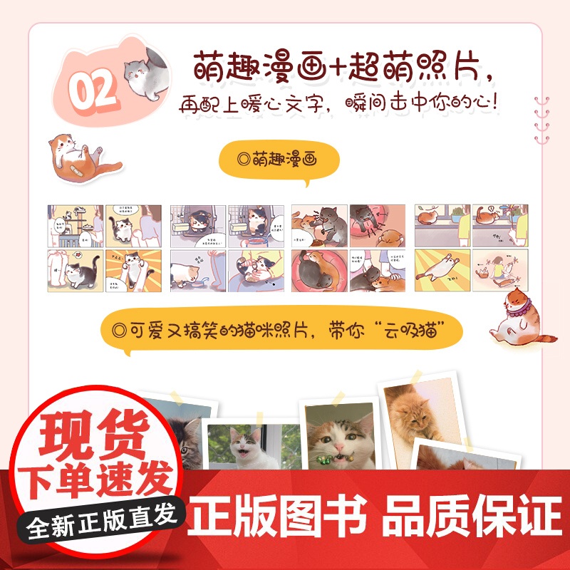 养猫书籍 新手养猫指导手册新手养猫攻略猫咪书籍 关于猫的书 训练猫咪一本就够了训猫教程养猫之指南书 猫咪行为学高清大图