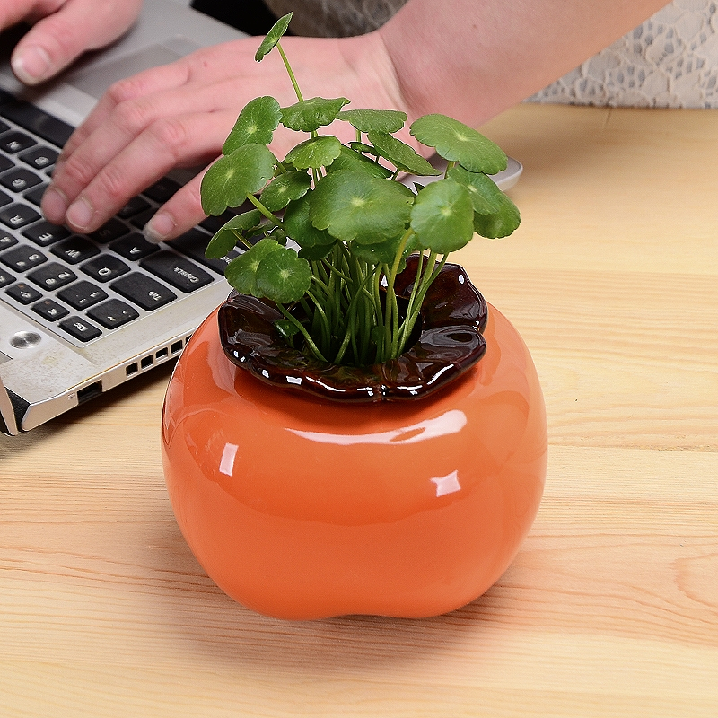 古达柿子花瓶陶瓷水养绿萝水培花盆花器客厅桌面办公桌装饰品摆件