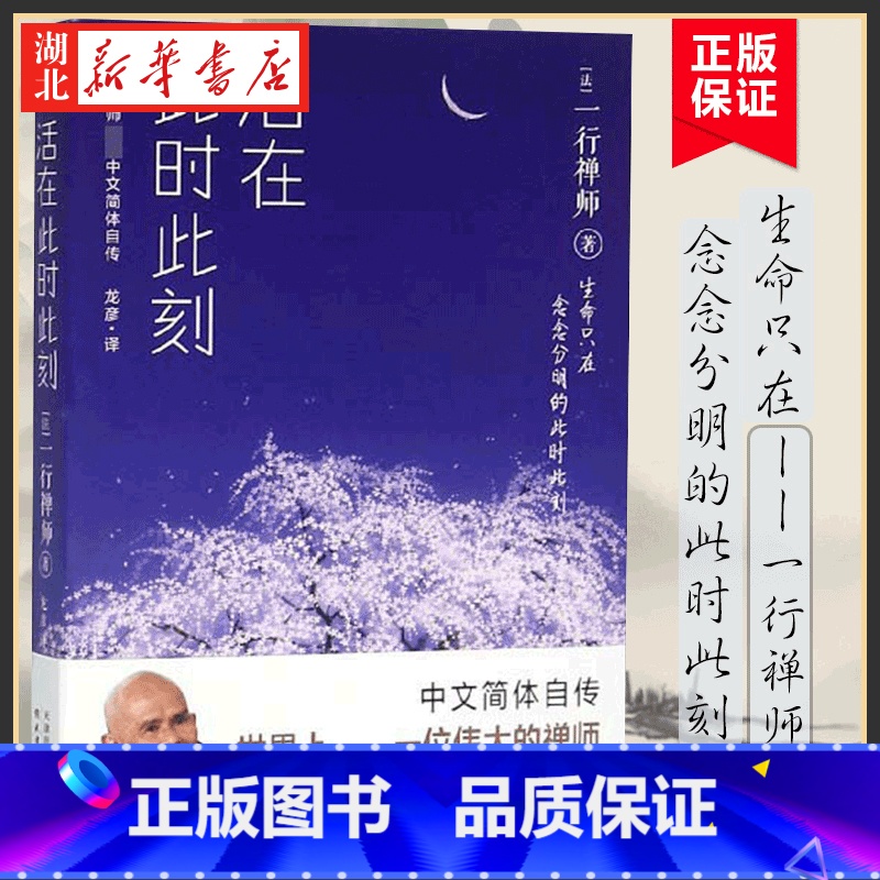 【正版】一行禅师 活在此时此刻 一行禅师修行手记 一本教你活出生命意义的灵性之书 讲述一行禅师真实的生活经历心灵励志书