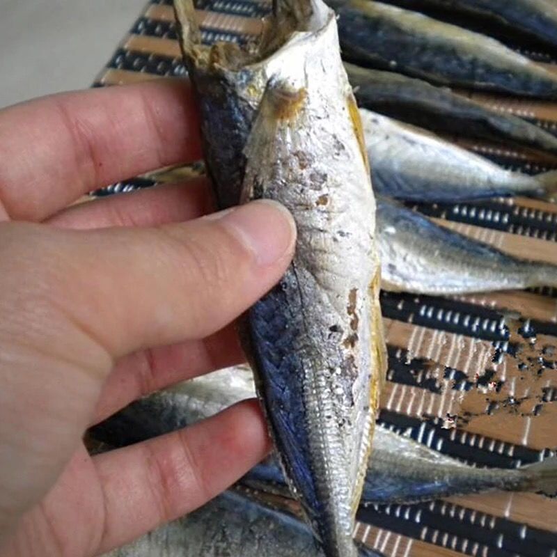 咸鱼干小鱼干特产巴浪鱼干新鲜鳀鱼海鱼海鲜咸鱼干货500g 1斤