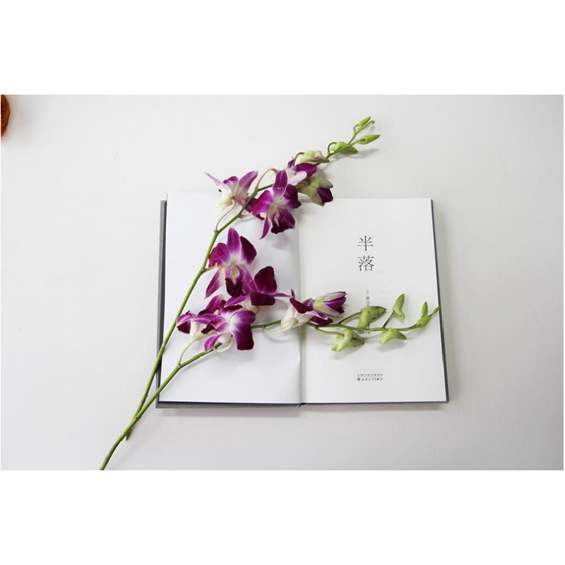 正版新书]半落(日)横山秀夫 著;王维幸 译 著9787530668887高清大图