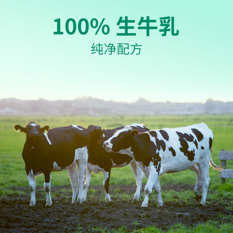 倍佳希低脂牛奶200ml*24盒纯牛奶整箱早餐奶