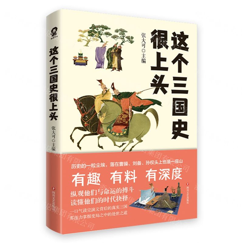 [N]这个三国史很上头-9787541163913高清大图