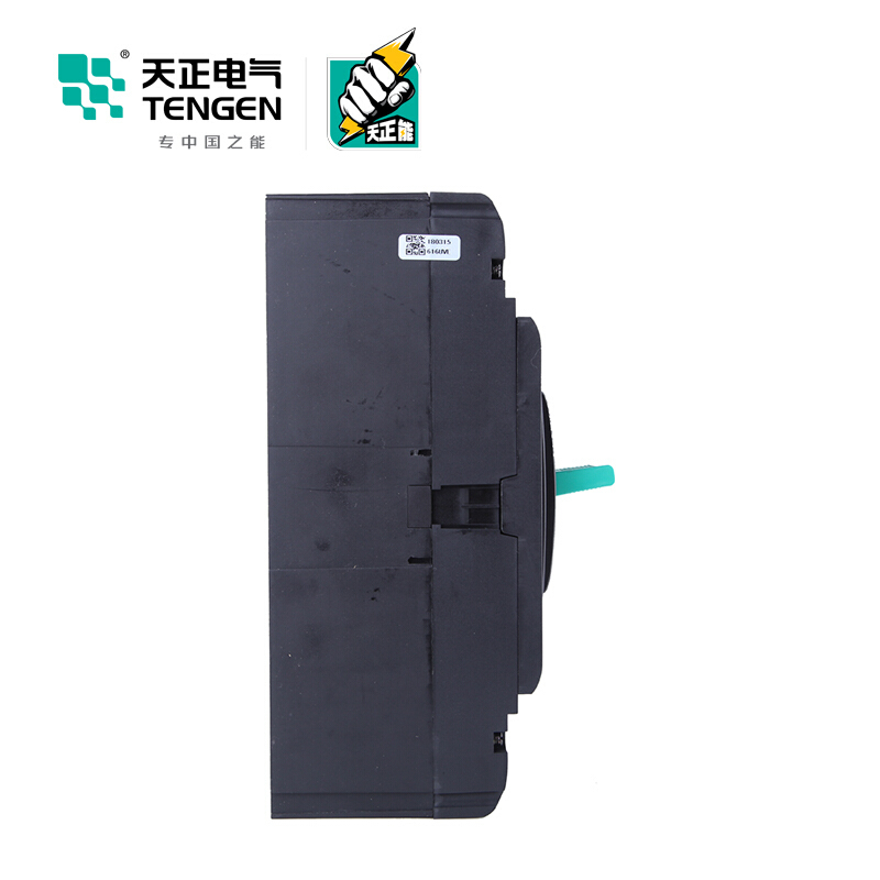 天正电气 TGM1N-400L 50KA 热磁式 315A 3P 手动固定式380V 330021700161塑壳断路器