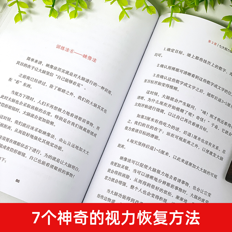 [正版]一分钟视力革命视力恢复眼睛视力训练图眼科书籍视觉训练的原理和方法眼视光学拒绝近视眼科学基础视力恢复训练册临床视光高清大图