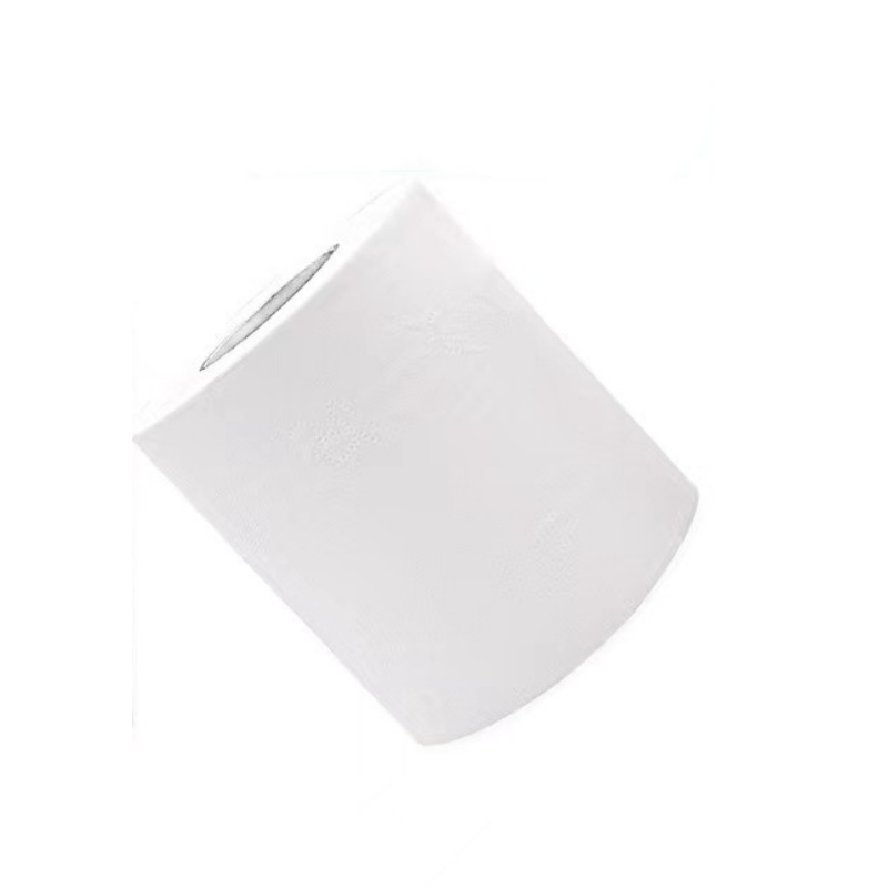 岱润 卷纸 10卷/提 袋 一次性纸高清大图