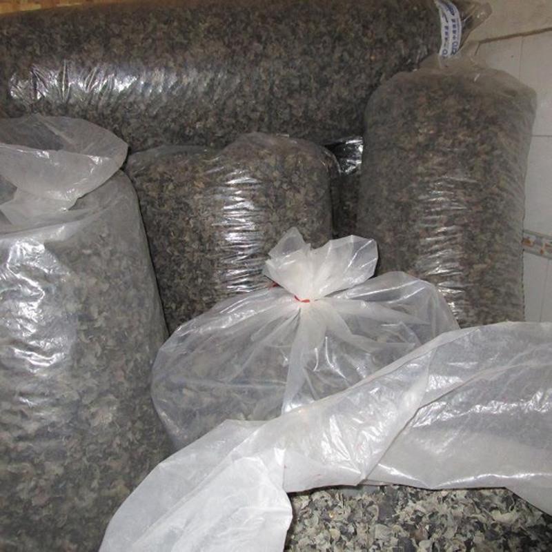 250g 秋木耳小朵木耳青冈椴木黑木耳南北干货直发青川黑木耳250克