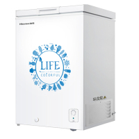 海信冰柜BD/BC-100N/A XH 常规款B2B商品,10份起订