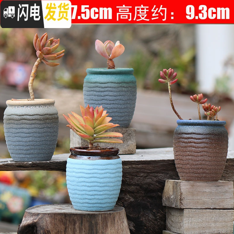 三维工匠陶瓷特小号多肉植物多色套装控型迷你多肉拇指肉肉花盆创意泡泡釉面 4个 中小花盆容器报价 参数 图片 视频 怎么样 问答 苏宁易购