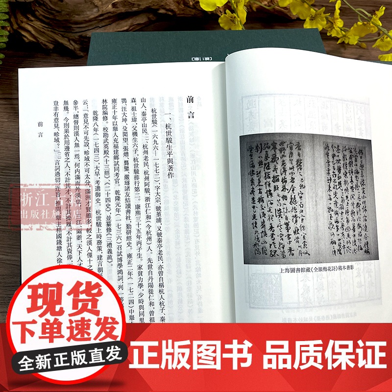 浙江文丛:杭世骏集 共5册 繁体竖排精装版 清代著名学者杭世骏的作品集 历史人物名人传记学术研究资料艺术理论 浙江古籍高清大图