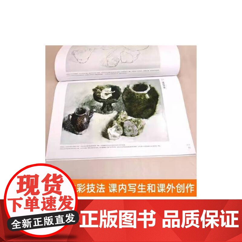 陈海宁水彩静物画技法高清大图