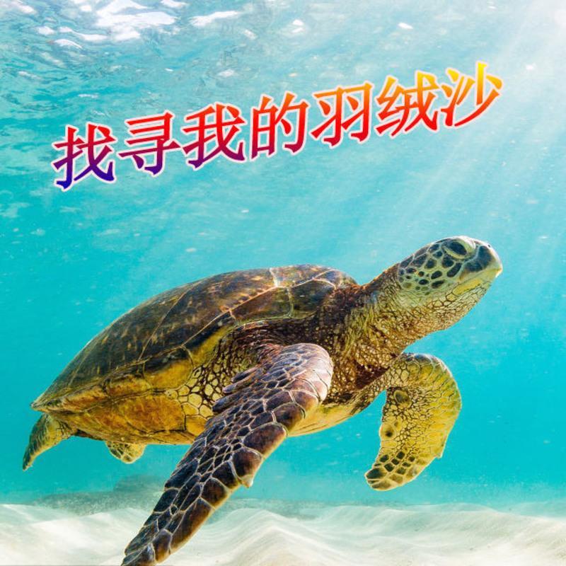 乌龟冬眠沙土生乌龟蛋孵化过冬天然河沙养乌龟产蛋宠物垫材沙子 常规优质河沙 5.5斤