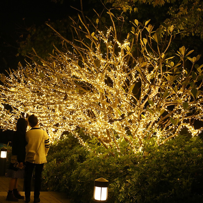 苏宁放心购 24v低压灯串小彩灯闪灯串灯满天星星灯户外防水亮化树灯