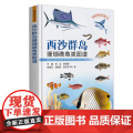 西沙群岛珊瑚礁鱼类图谱 王腾 刘永 李纯厚 肖雅元 黄晓华 编 9787109322523 中国农业出版0