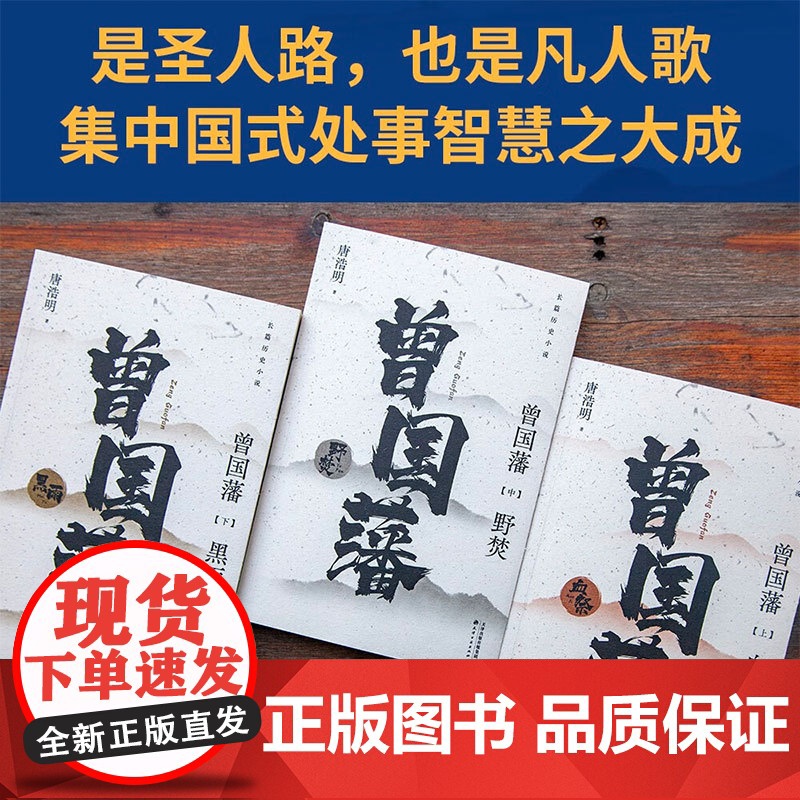 曾国藩 唐浩明 著 传记高清大图