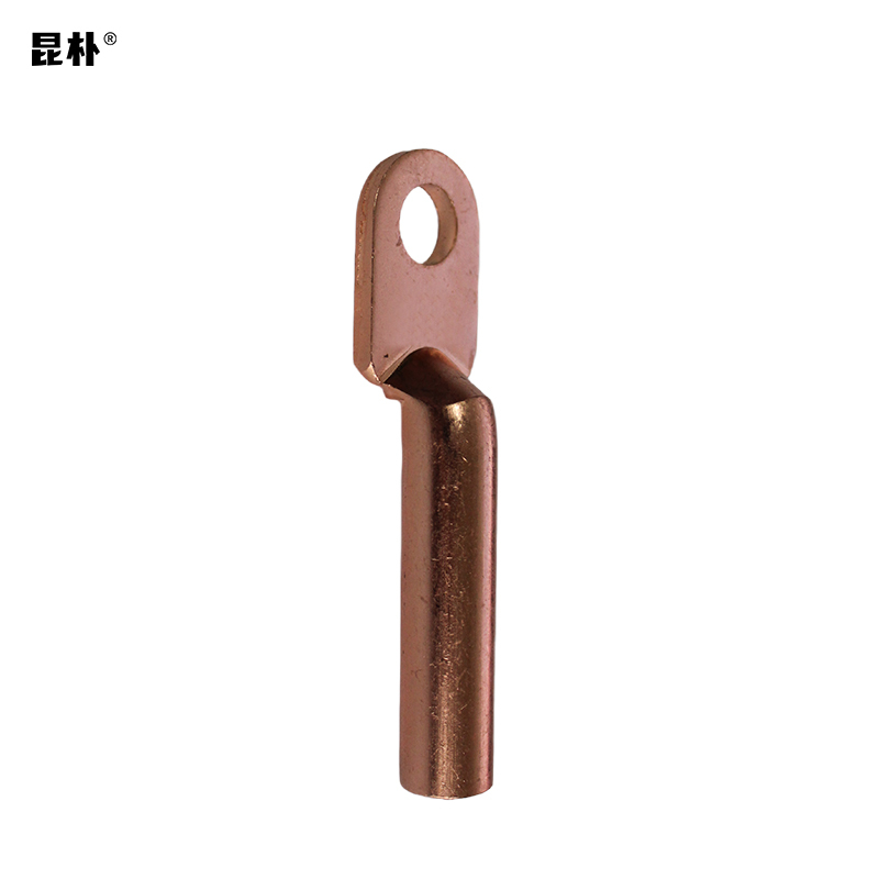 昆朴接线端子铜鼻子 DT-10 个