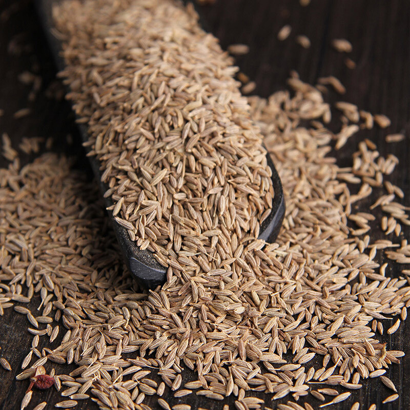 富昌 孜然粒50g 厨房调料 调味料 香辛料 烧烤火锅撒料