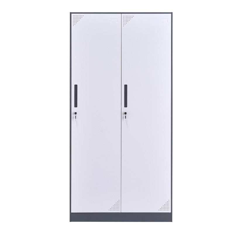 臻远ZY-GYGC-1拆装更衣柜窄边储物柜 灰白套色二门更衣柜高清大图