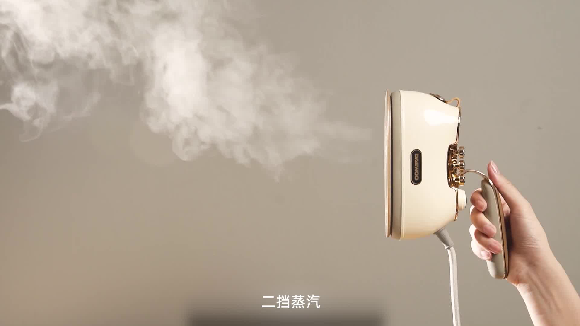 大宇 DAEWOO HI-036 PRO 折叠蒸汽电熨斗 颜色随机 (计价单位:个)高清大图